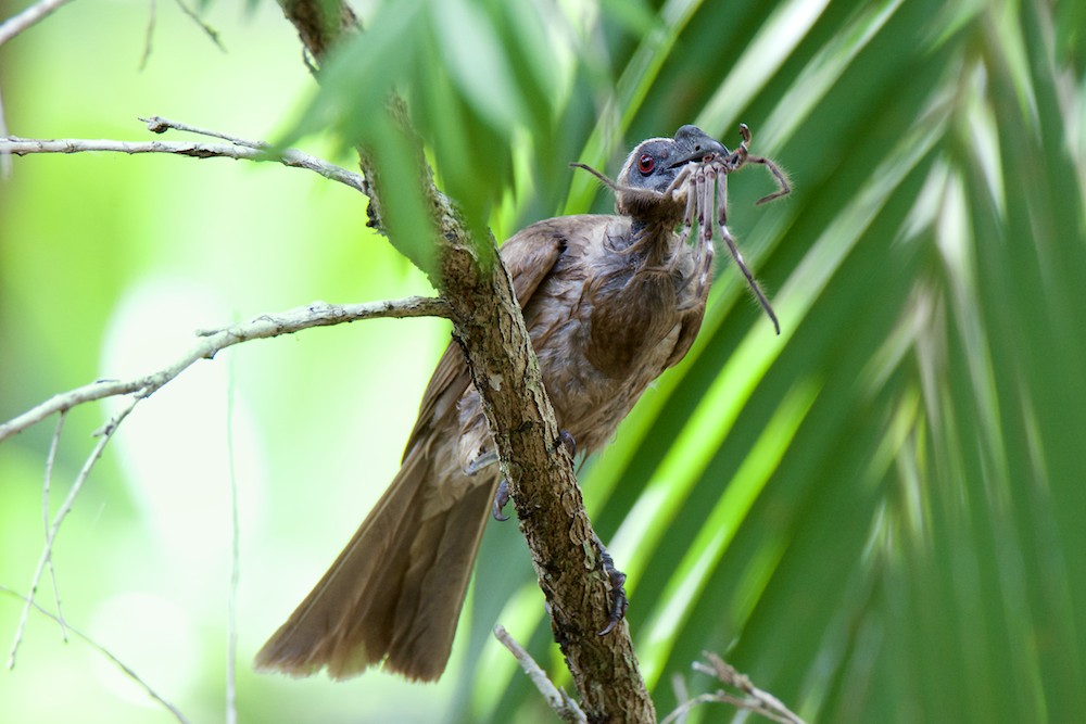 DSC_3804.jpg