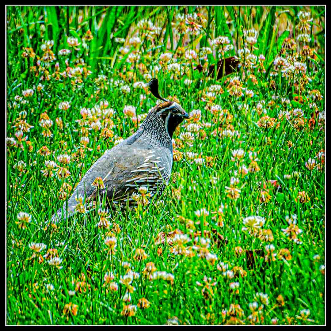 DSC_3806-Edit.jpg