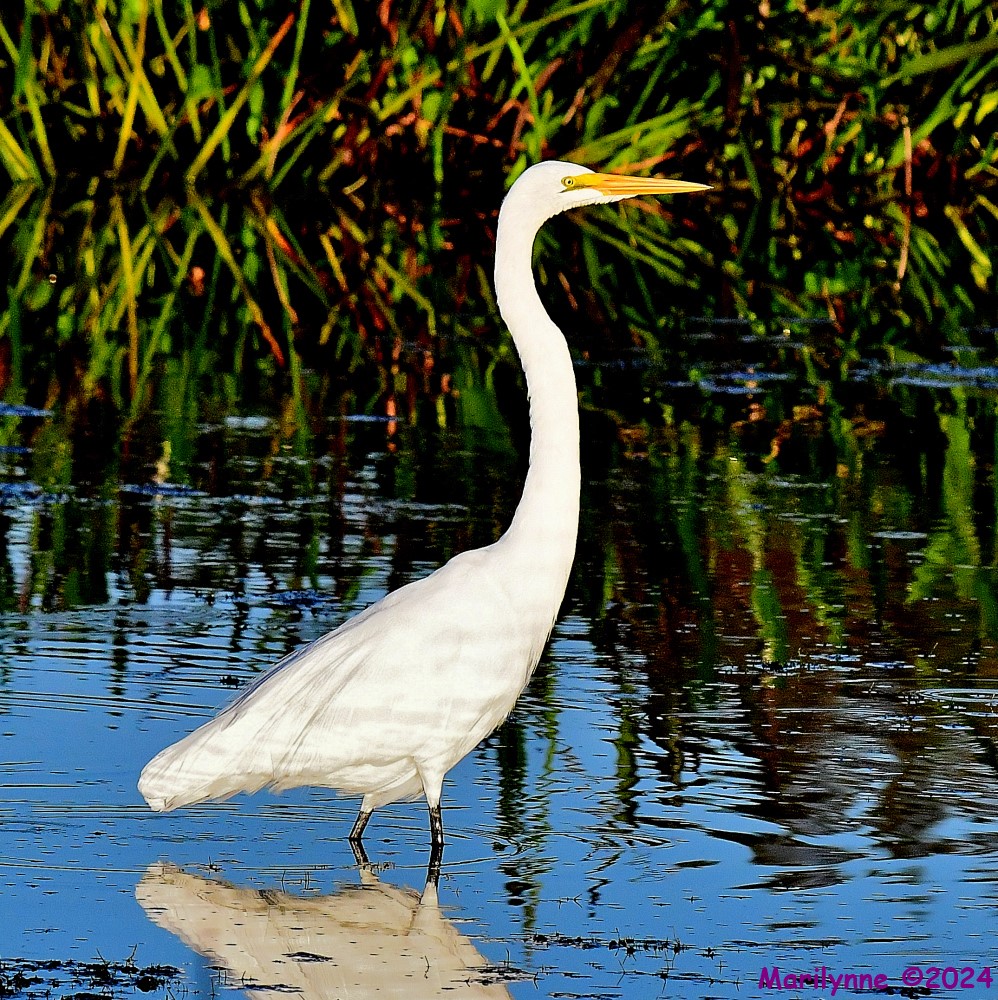 DSC_3806_001.JPG