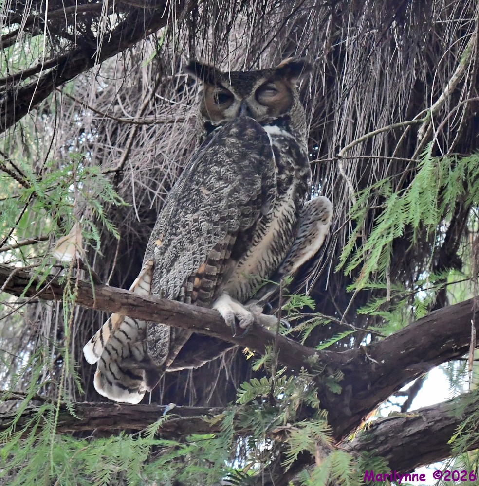 DSC_3807_001.JPG