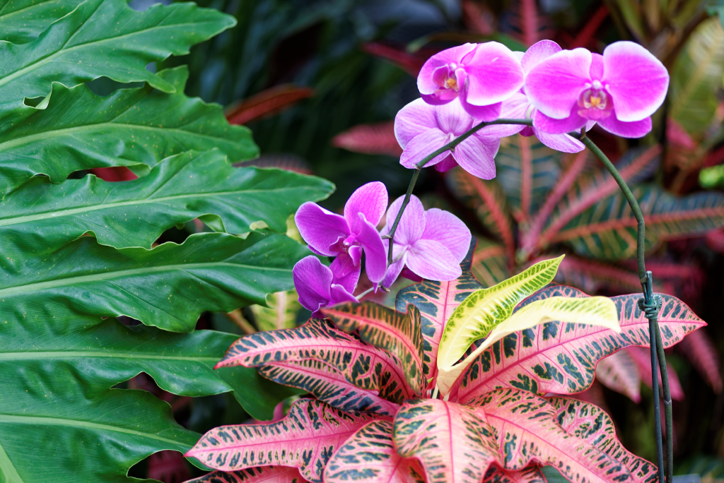 DSC_3808_DxO.jpg