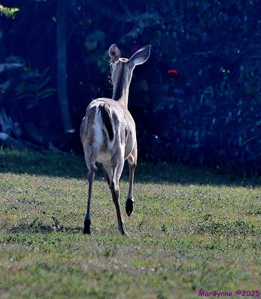 DSC_3809_001.JPG