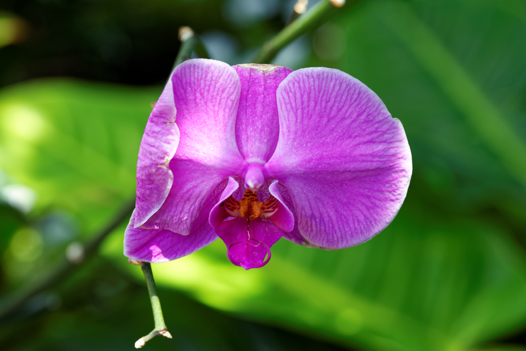 DSC_3811_DxO.jpg