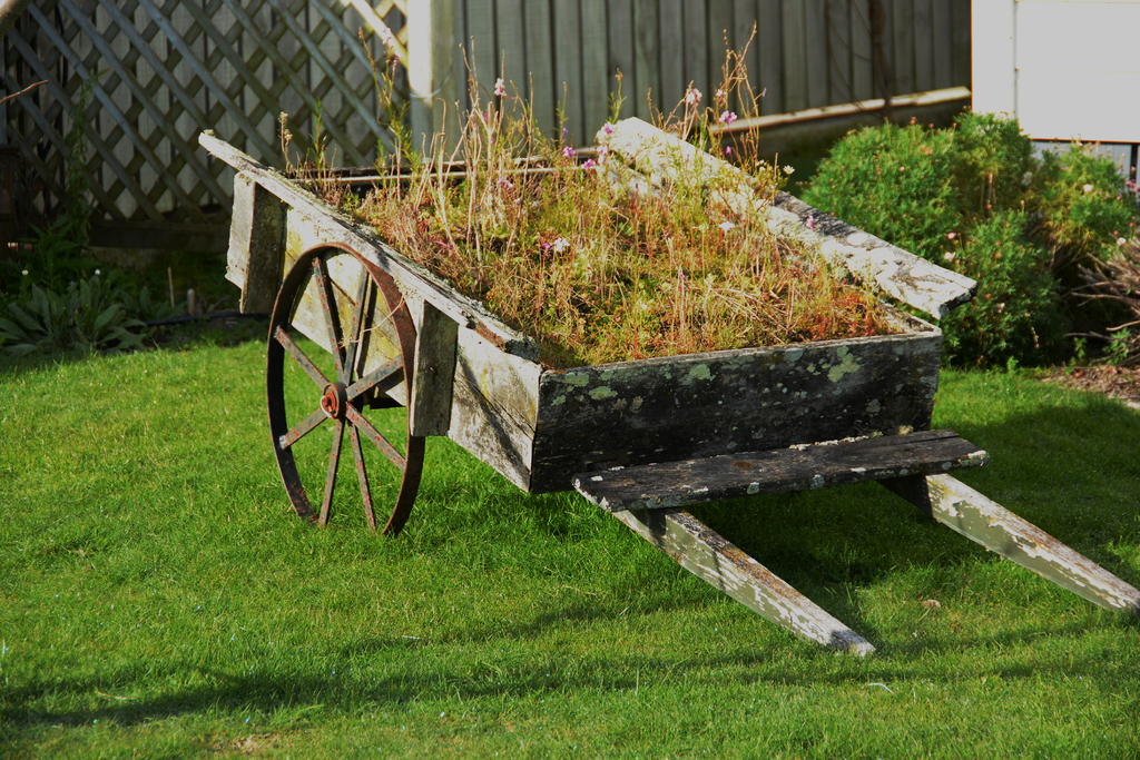 DSC_3812.jpg