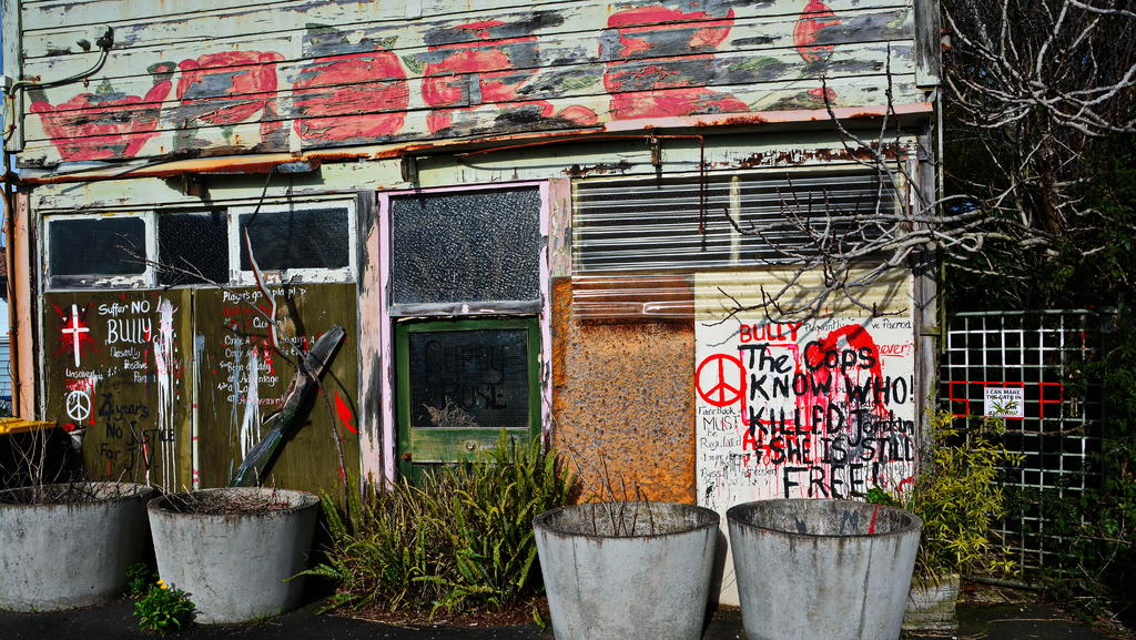 DSC_3812crop.jpg