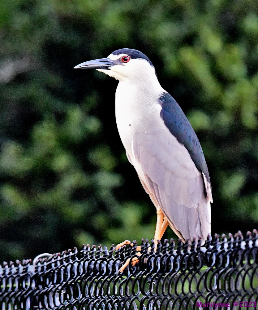 DSC_3813_001.JPG