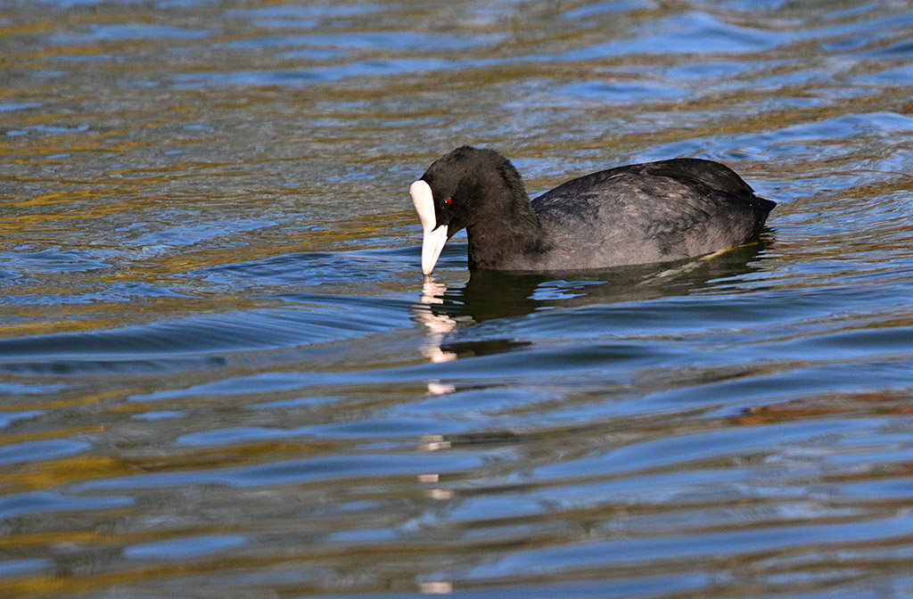DSC_3814.jpg