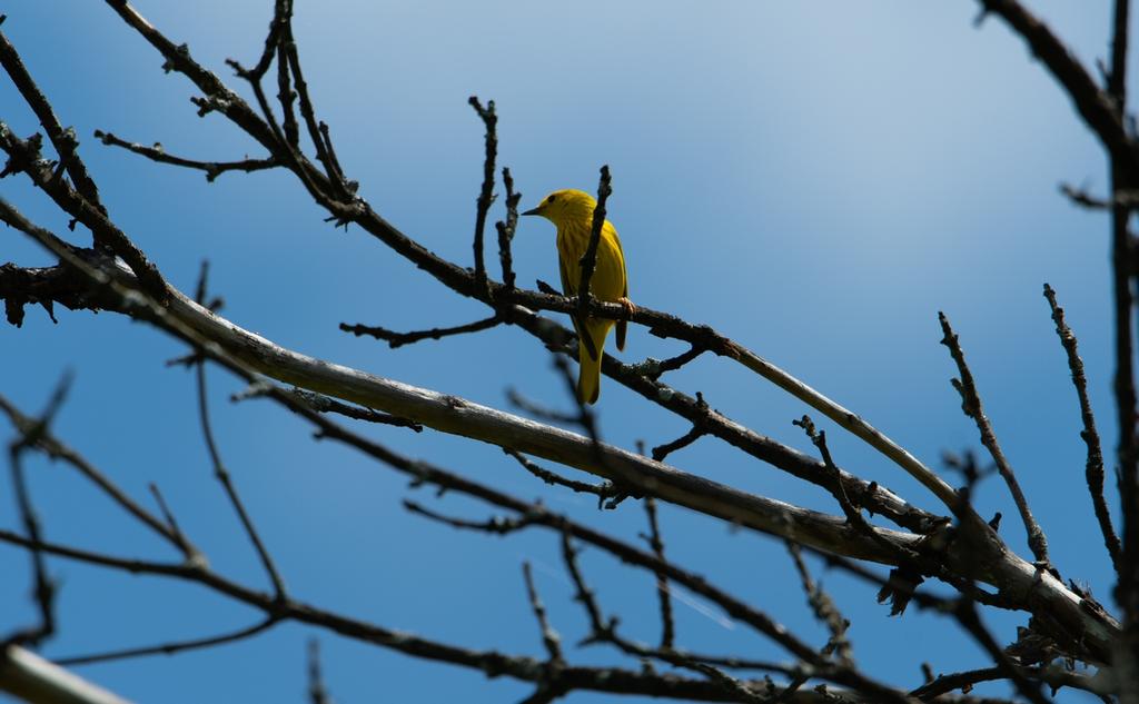 DSC_3814.jpg