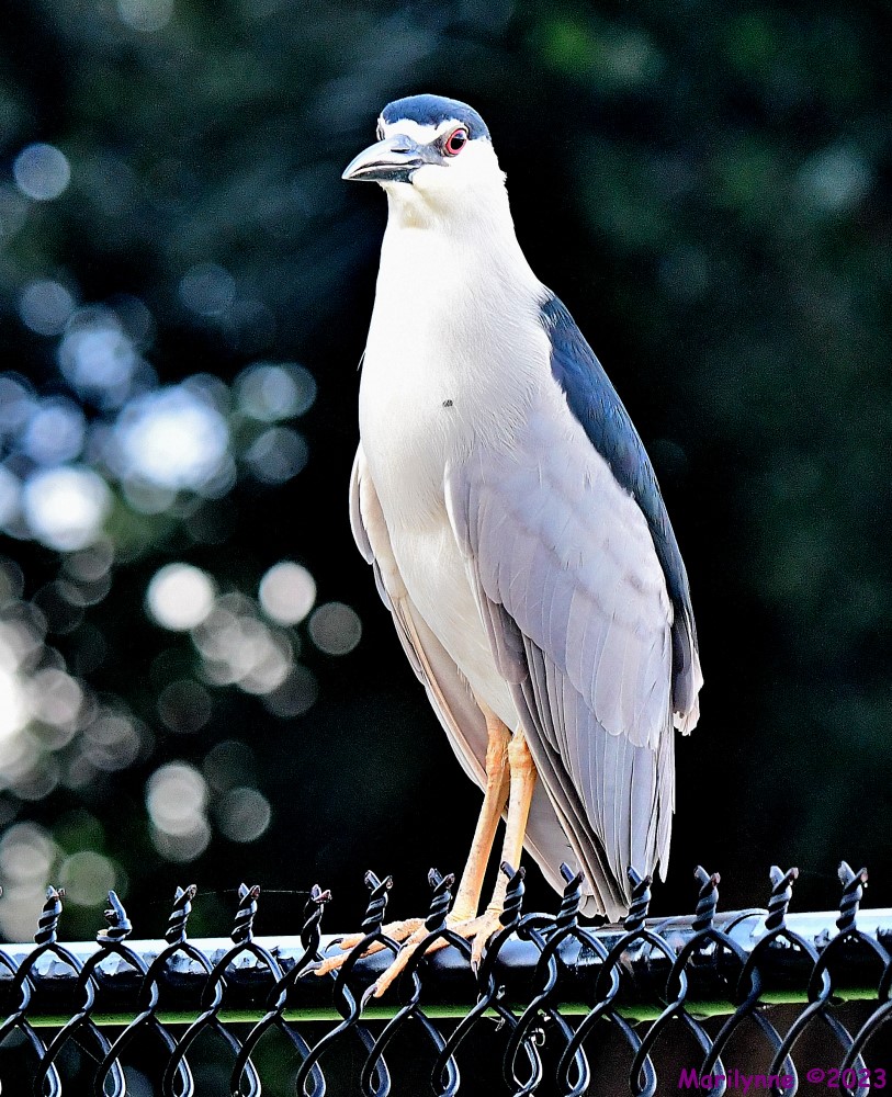 DSC_3815_001.JPG