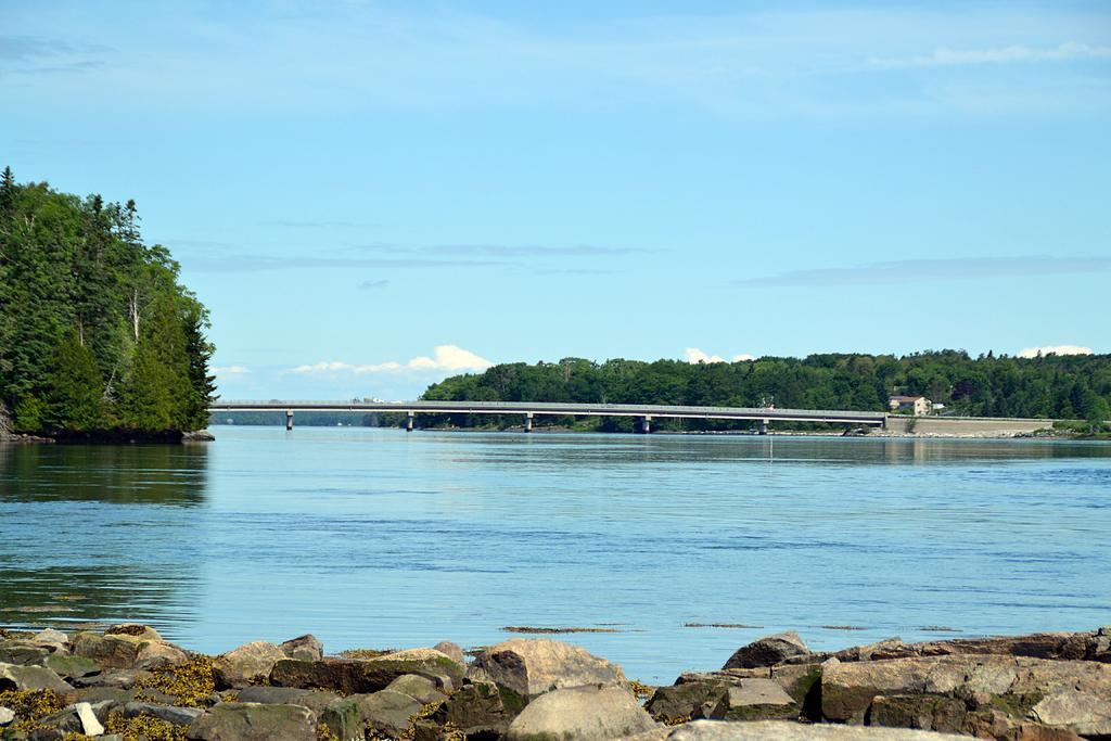 DSC_3816.jpg