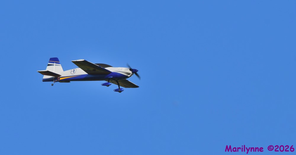 DSC_3816_001.JPG
