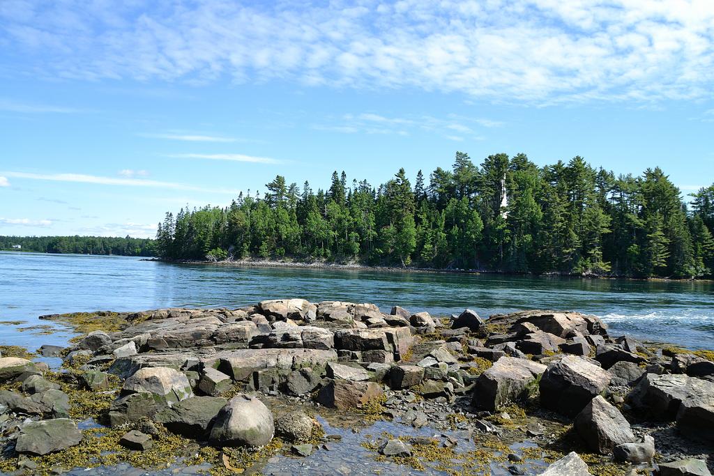 DSC_3819.jpg