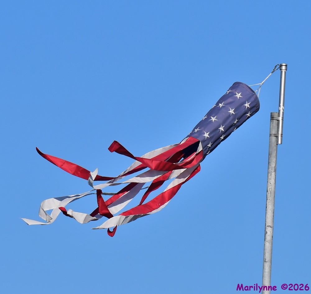 DSC_3820_001.JPG