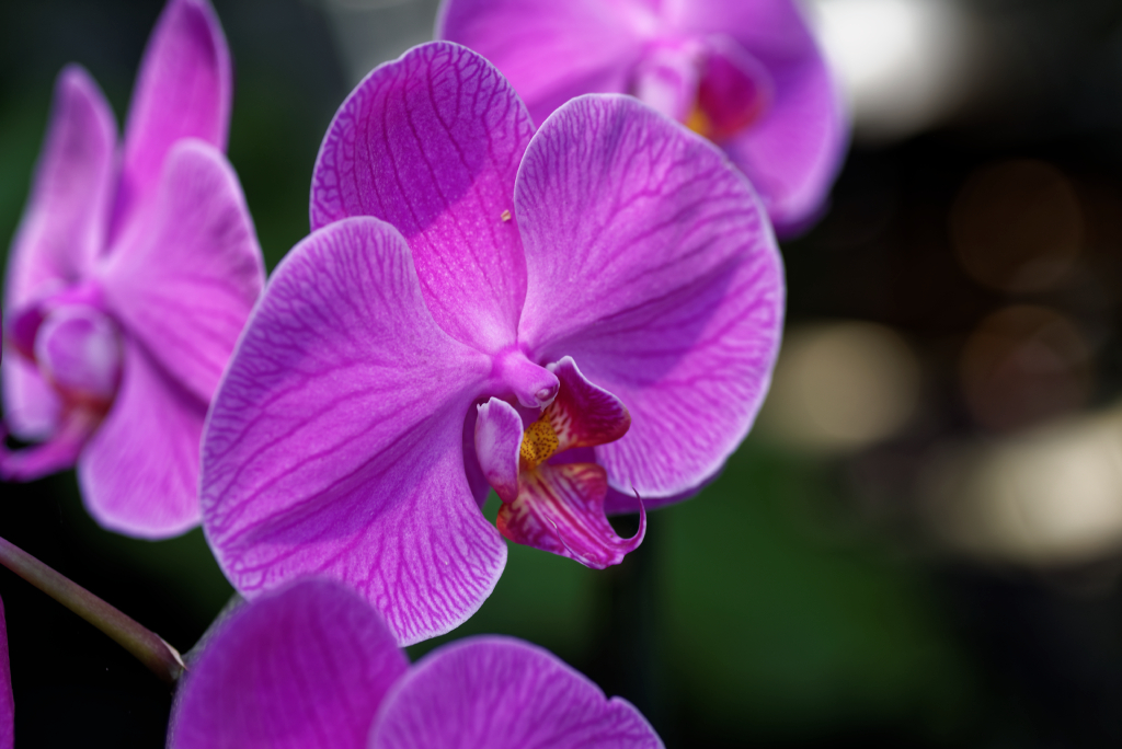 DSC_3820_DxO.jpg
