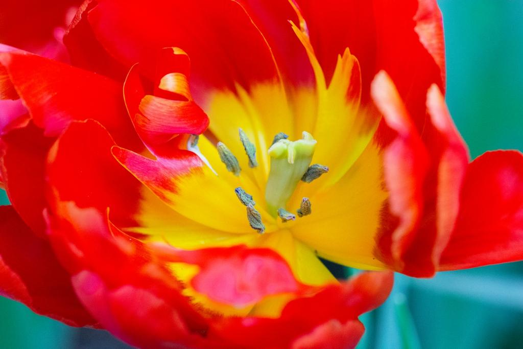DSC_3821.jpg