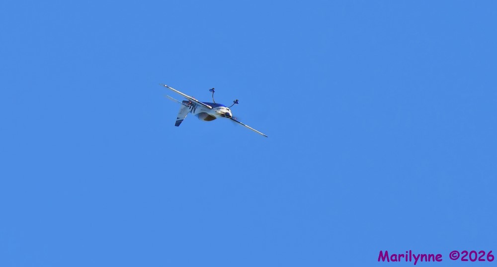 DSC_3822_001.JPG