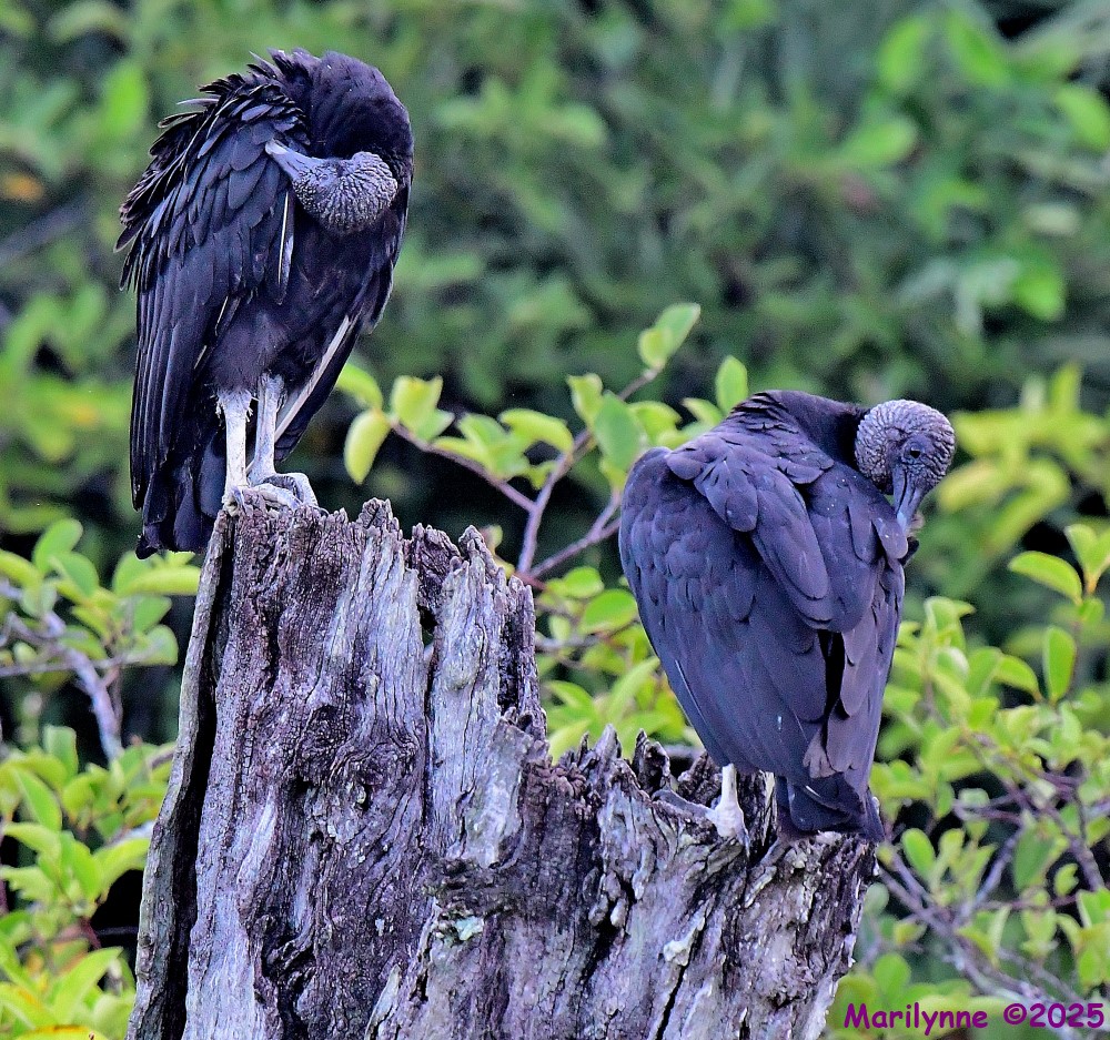 DSC_3823_001.JPG