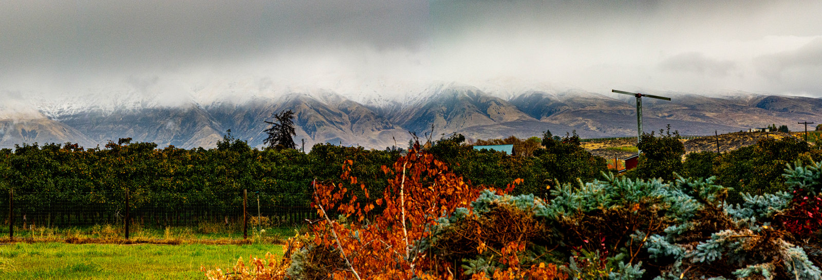 DSC_3826-Pano.jpg
