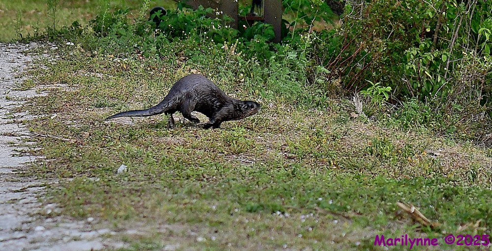 DSC_3828_001.JPG