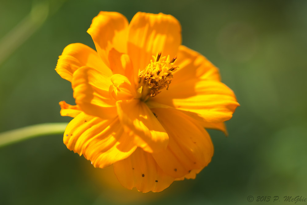 DSC_3830.jpg