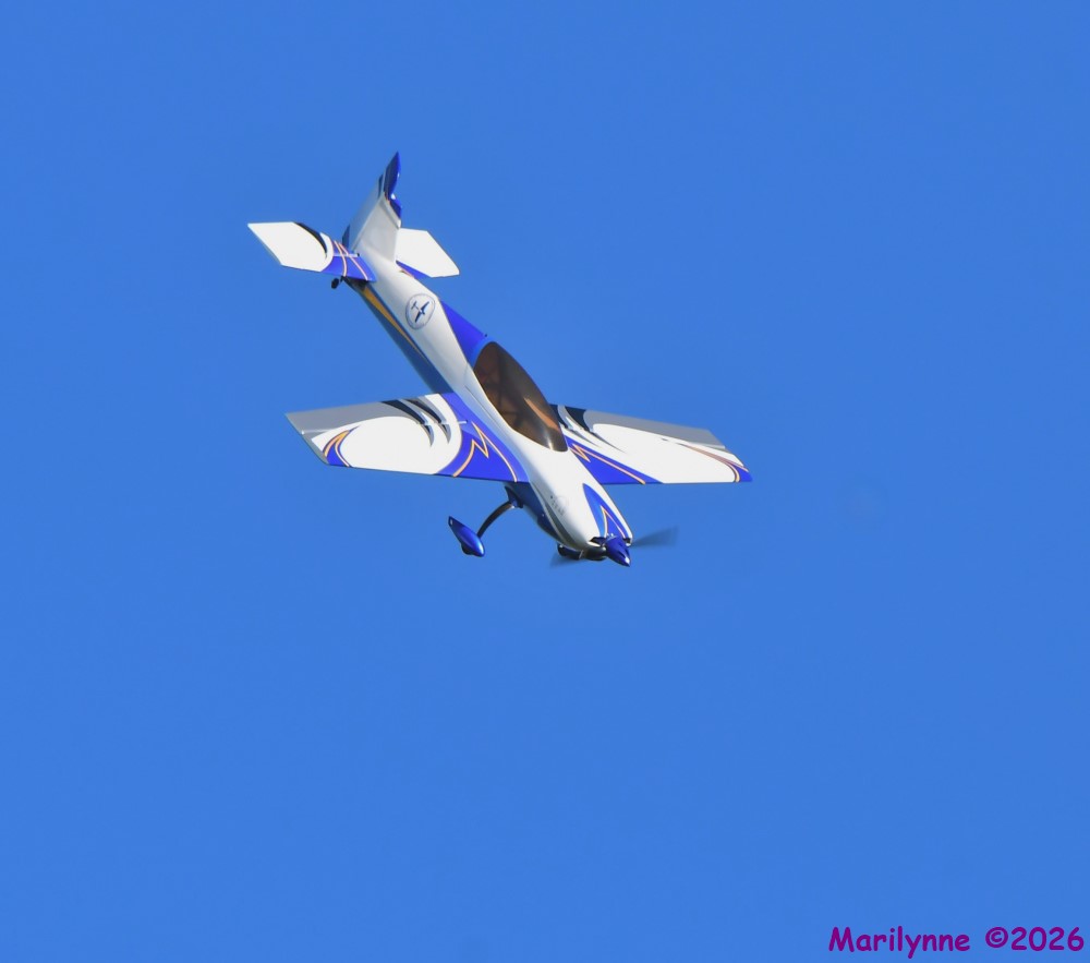 DSC_3830_001.JPG