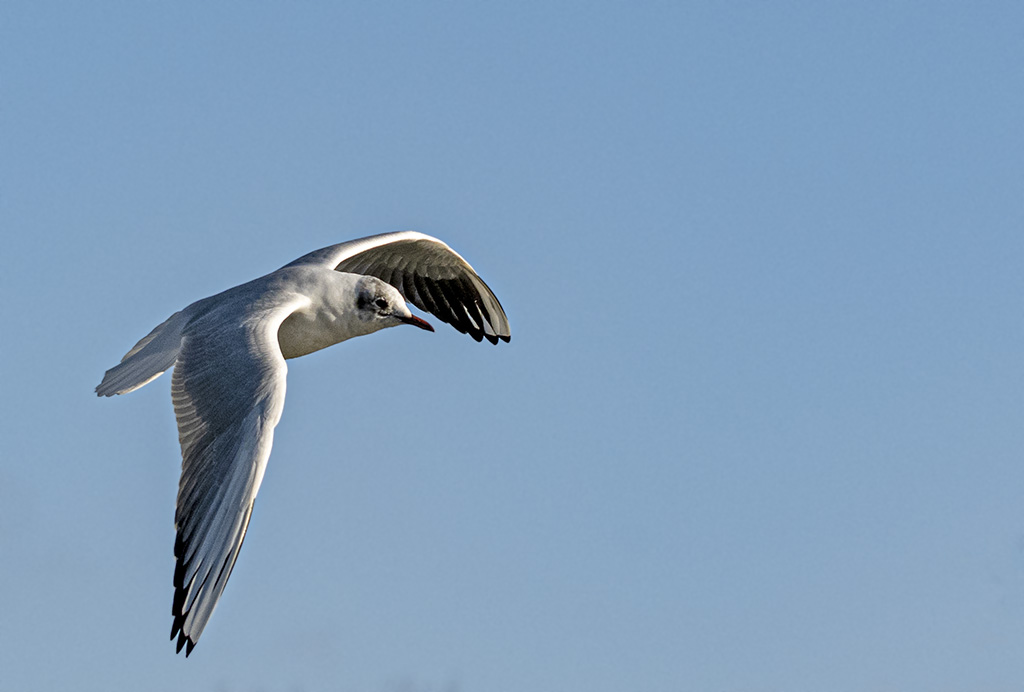 DSC_3831.jpg