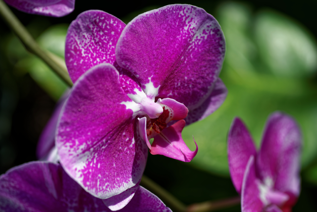 DSC_3834_DxO.jpg