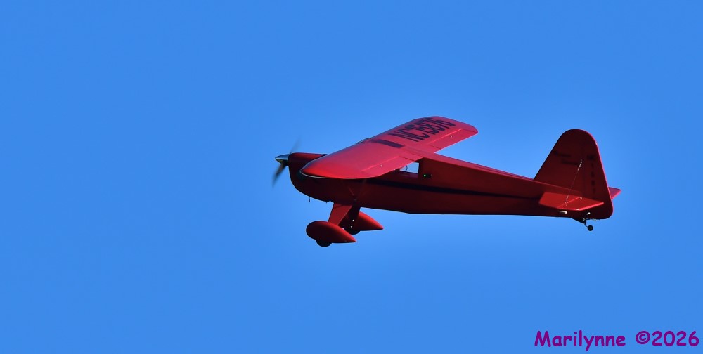 DSC_3836_001.JPG