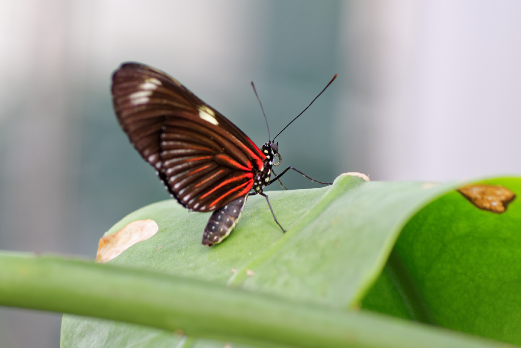 DSC_3836_DxO.jpg