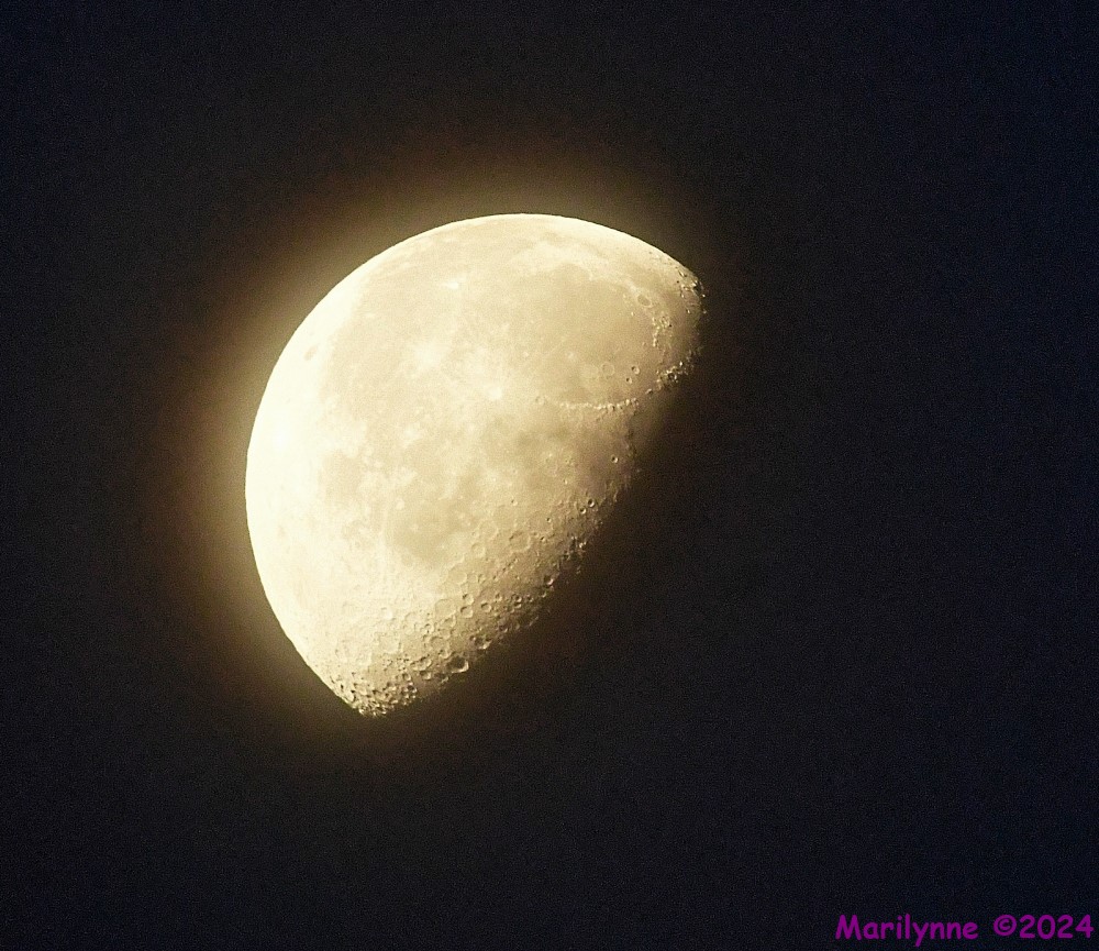 DSC_3838_001.JPG