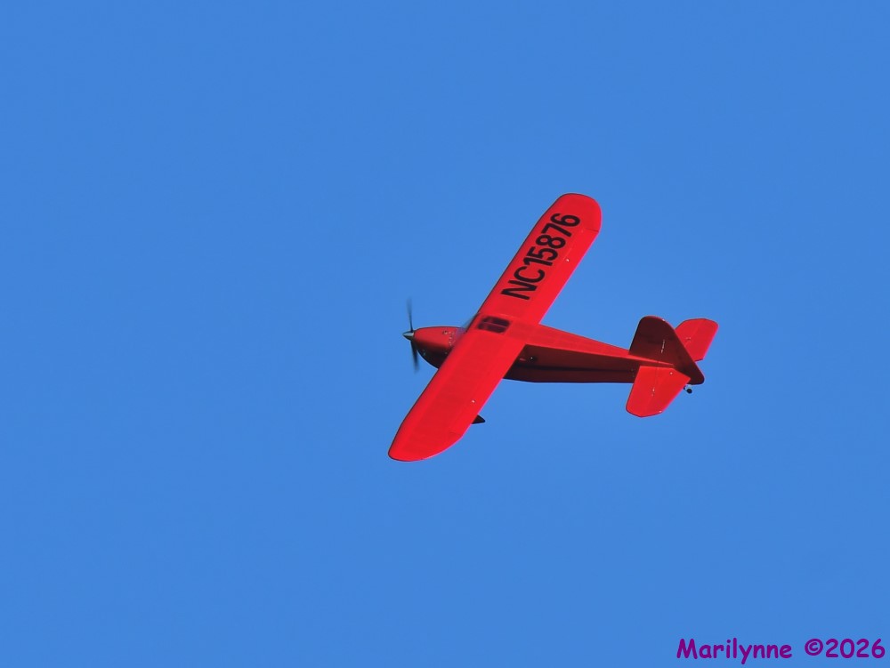 DSC_3838_001.JPG