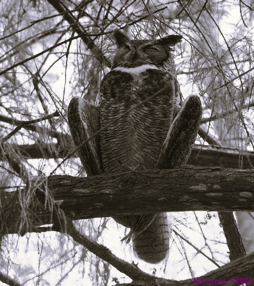 DSC_3840.stitch_001 bw.JPG