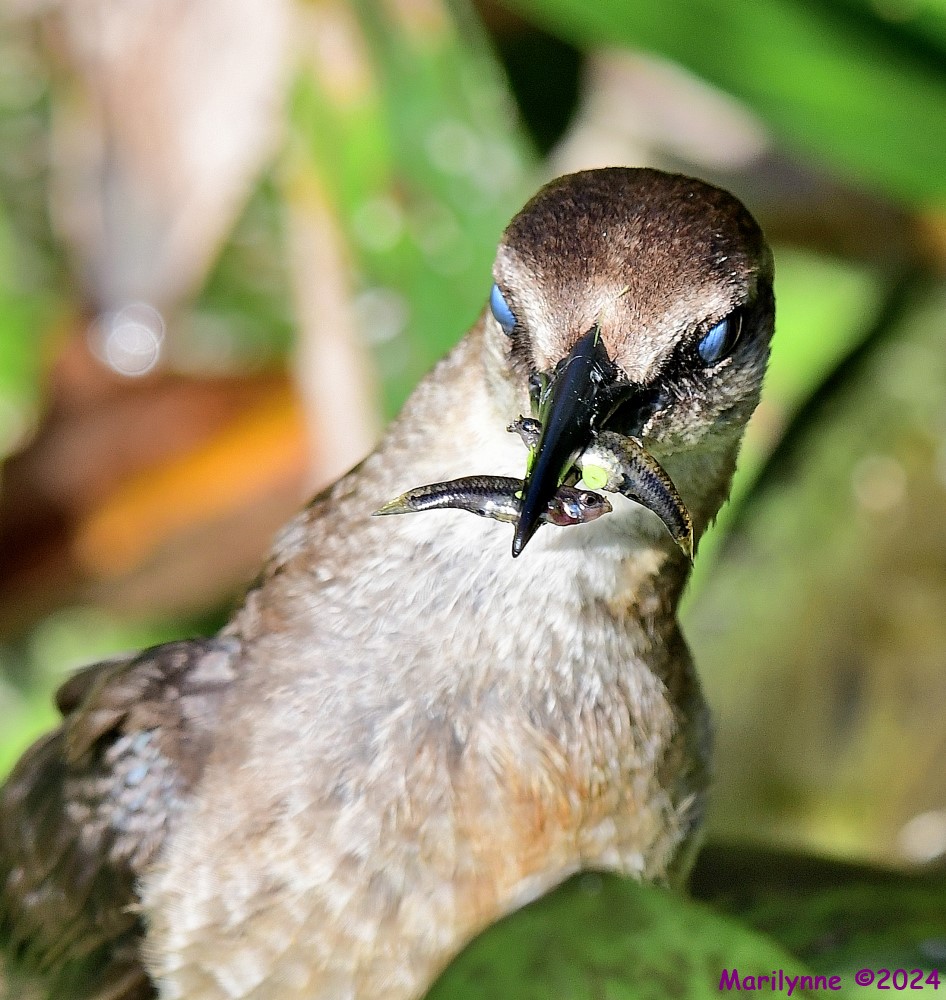 DSC_3840_001.JPG