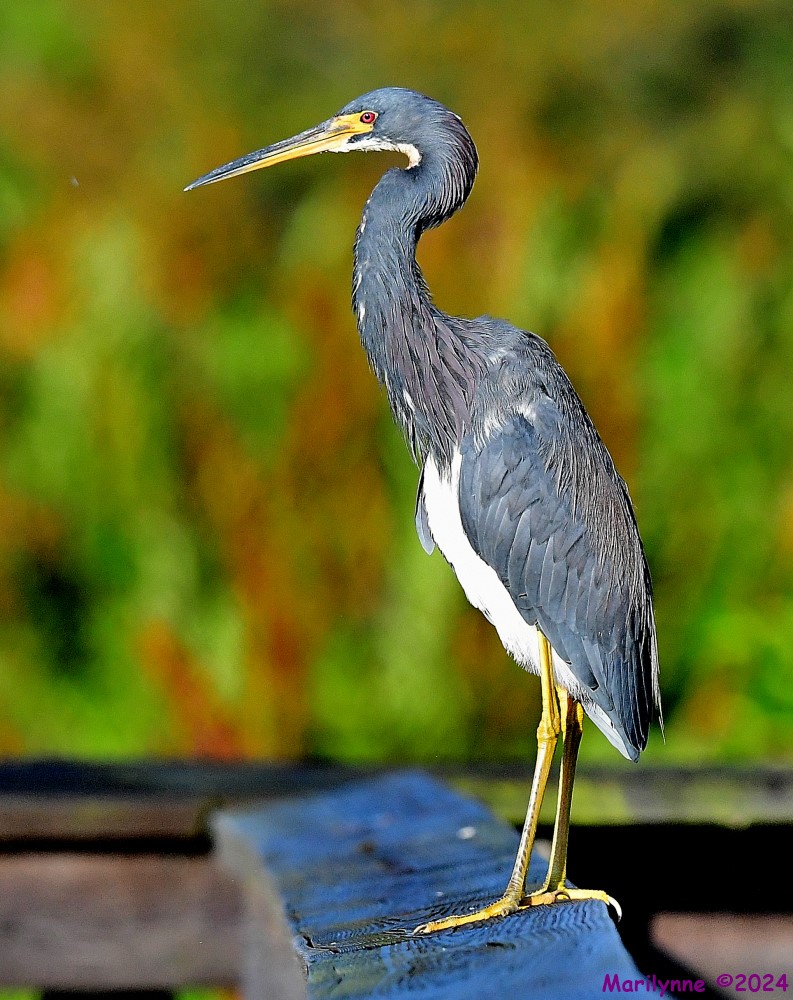 DSC_3840_001.JPG