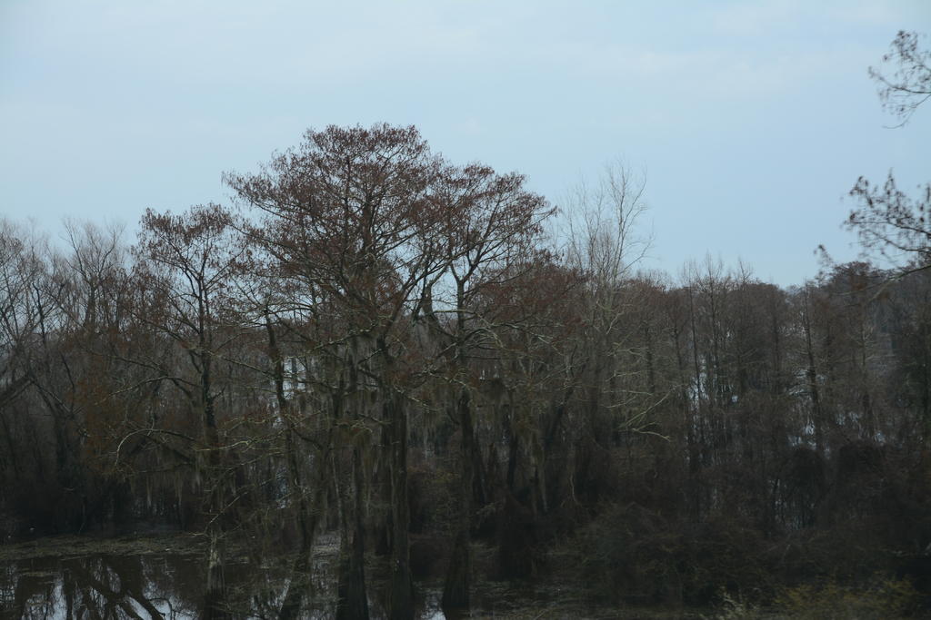 DSC_3841.jpg