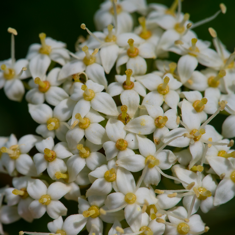DSC_3841.jpg