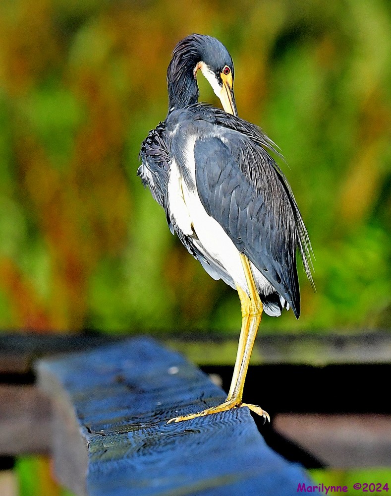 DSC_3842_001.JPG