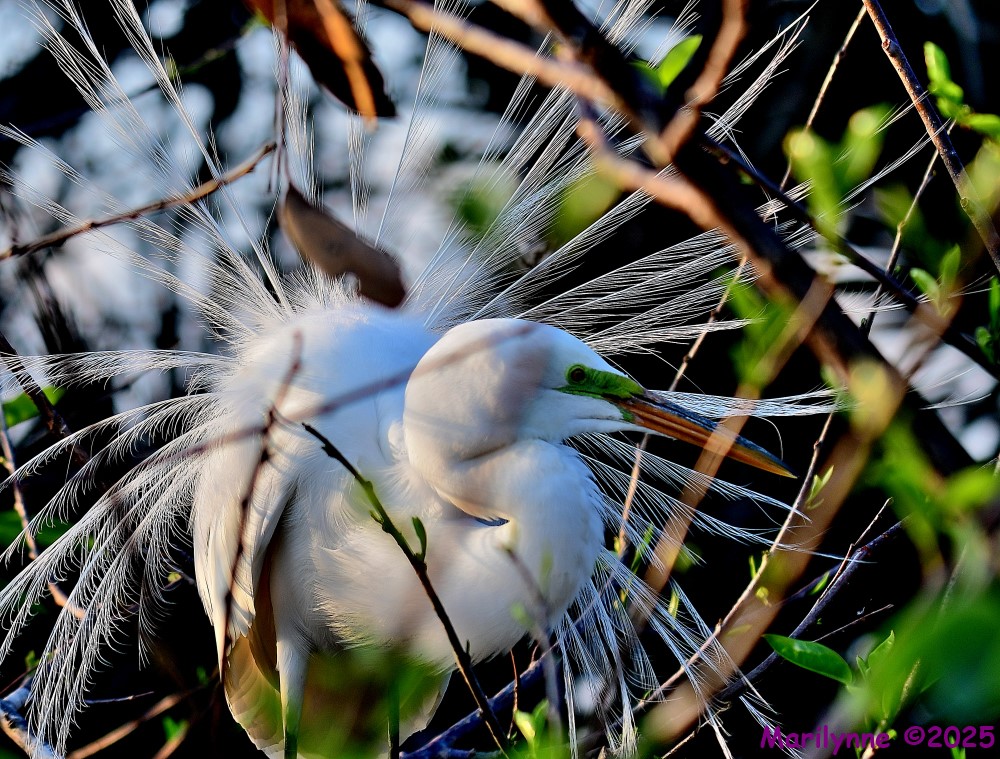 DSC_3842_001.JPG