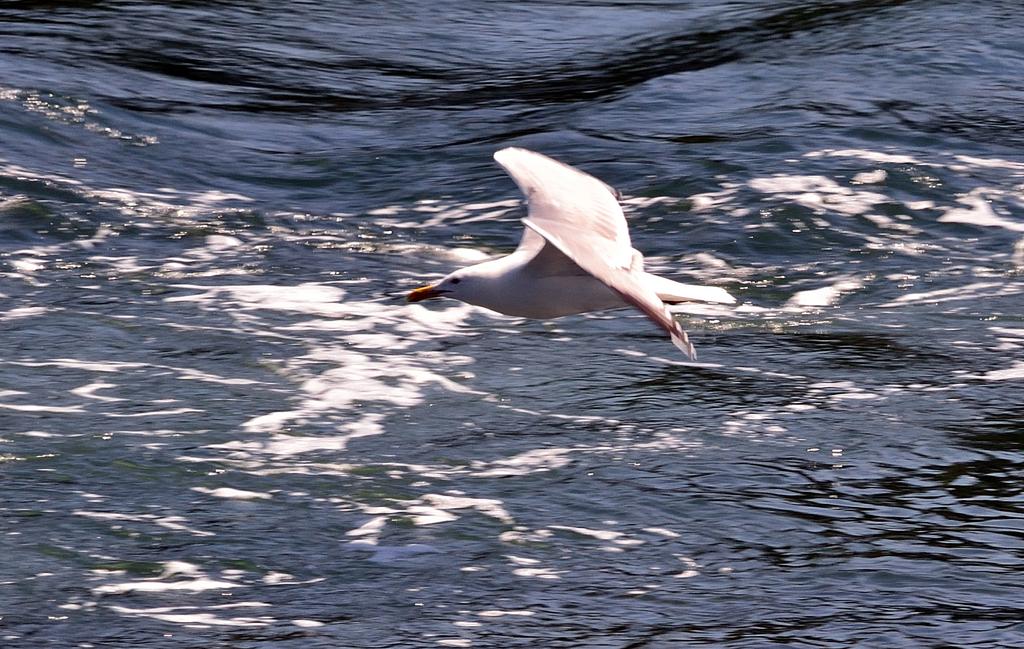 DSC_3844.jpg