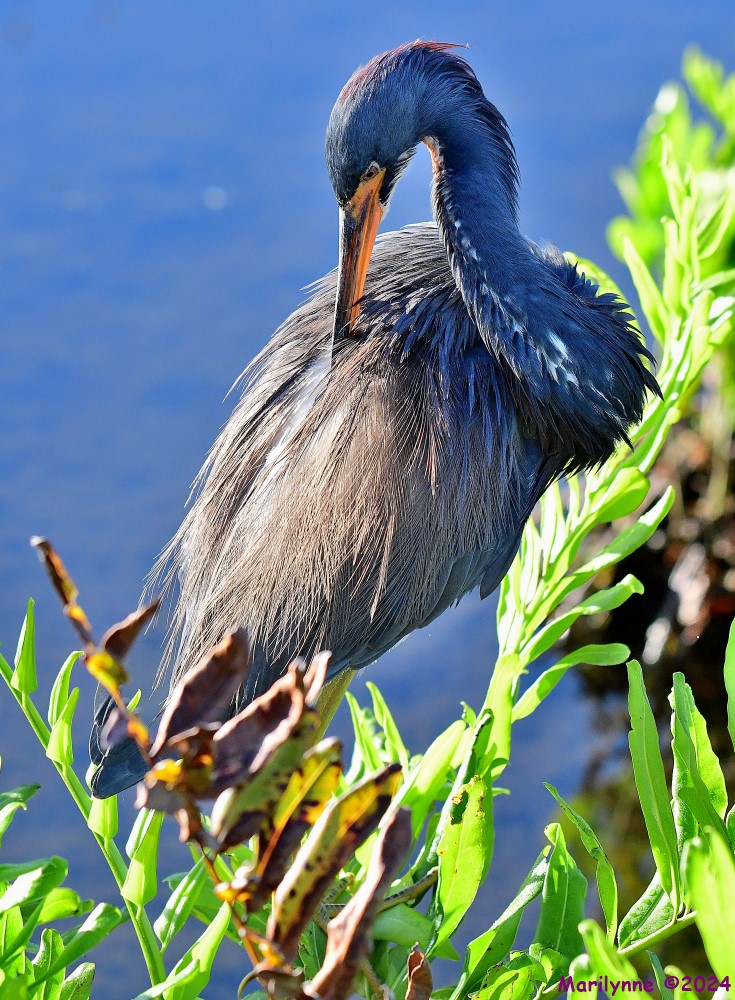 DSC_3845_stitch3_001.JPG