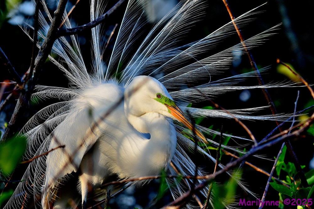 DSC_3846_001.JPG