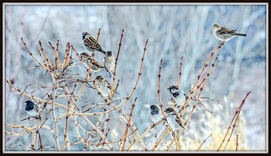 DSC_3848-Edit-001.jpg