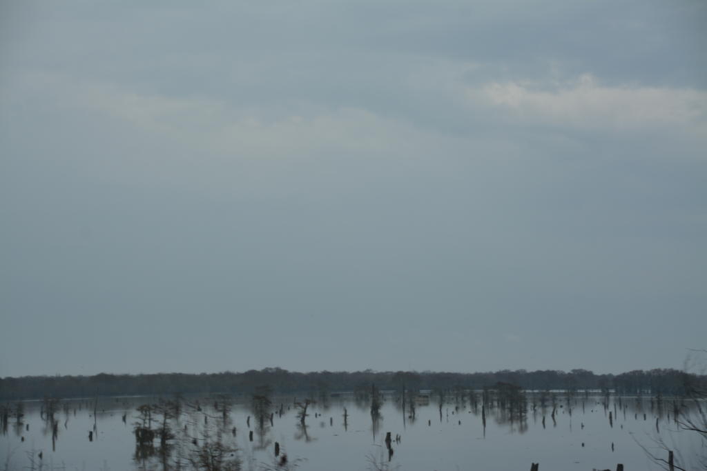 DSC_3848.jpg