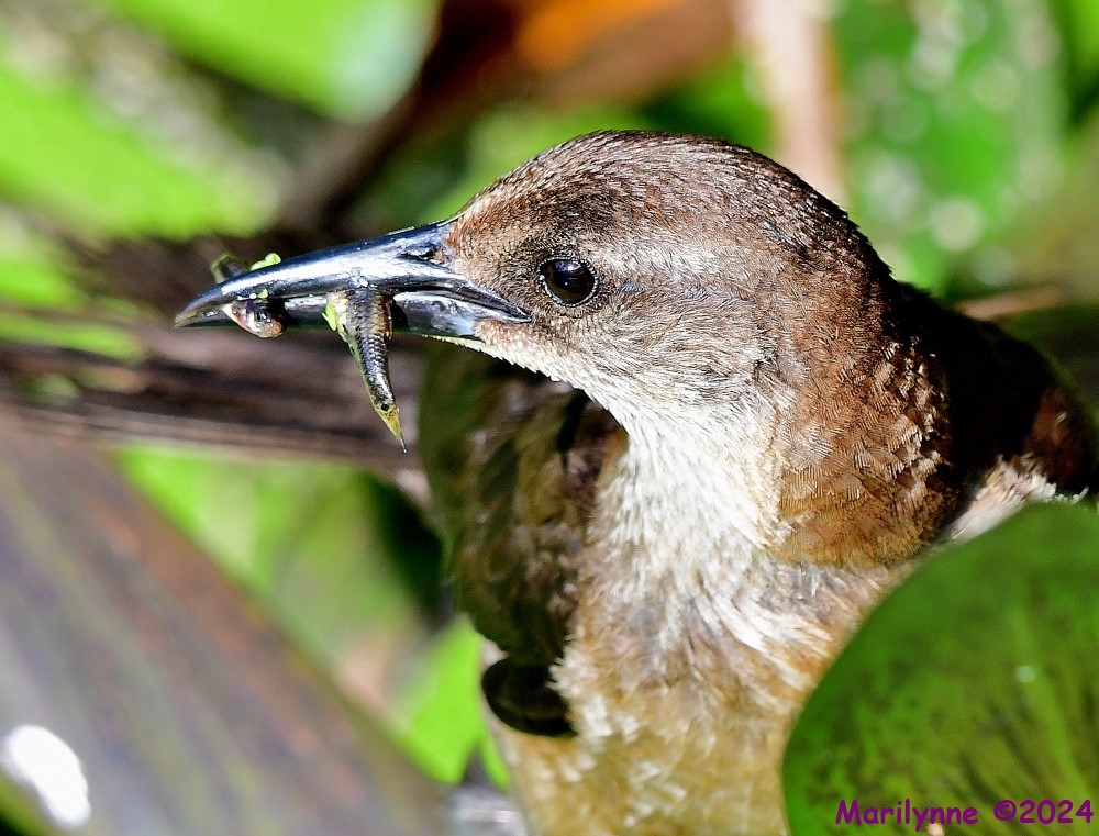 DSC_3848_001.JPG