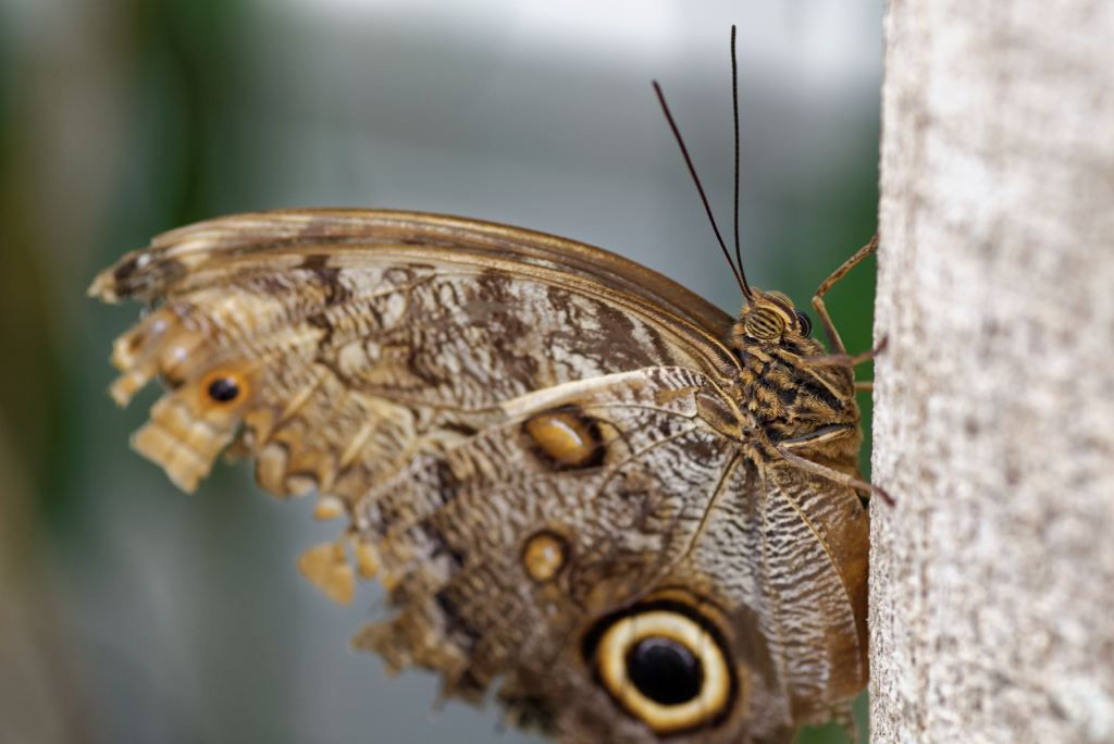 DSC_3848_DxO.jpg