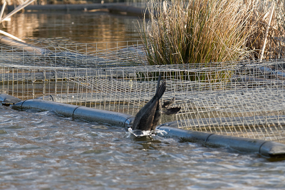 DSC_3849.jpg