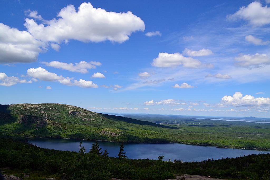 DSC_3850.jpg