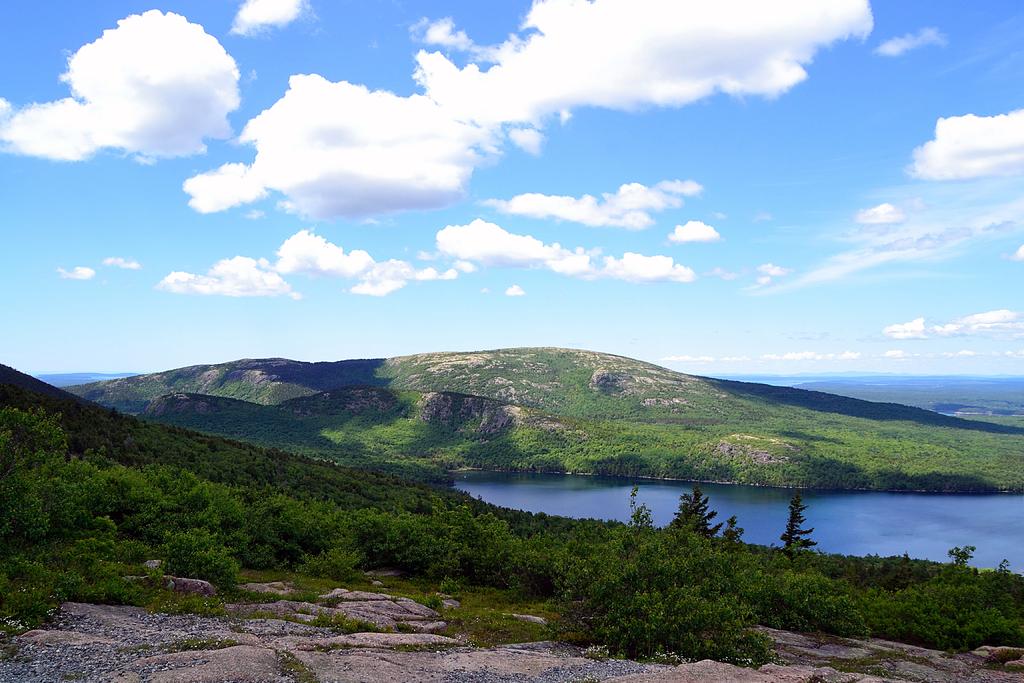 DSC_3851.jpg