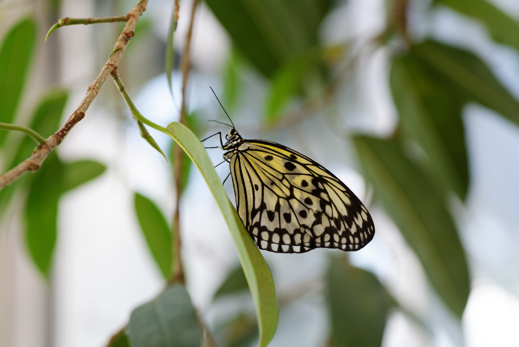 DSC_3853_DxO.jpg