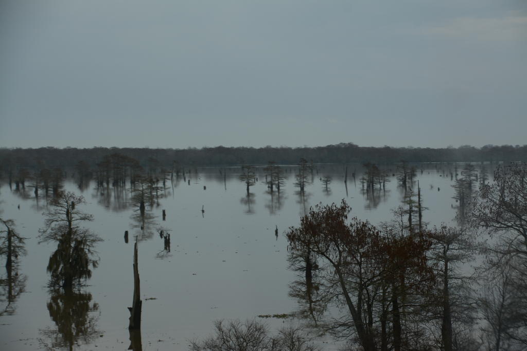DSC_3854.jpg